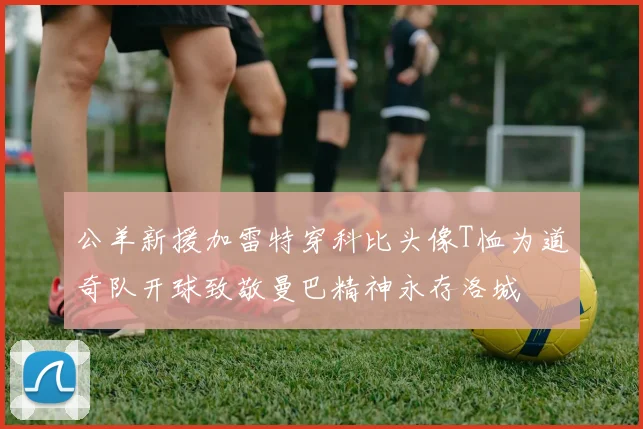 公羊新援加雷特穿科比头像T恤为道奇队开球致敬曼巴精神永存洛城